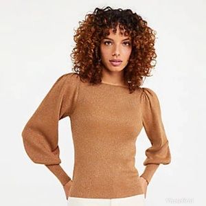 Ann Taylor Puff Sleeve Shimmer Sweater